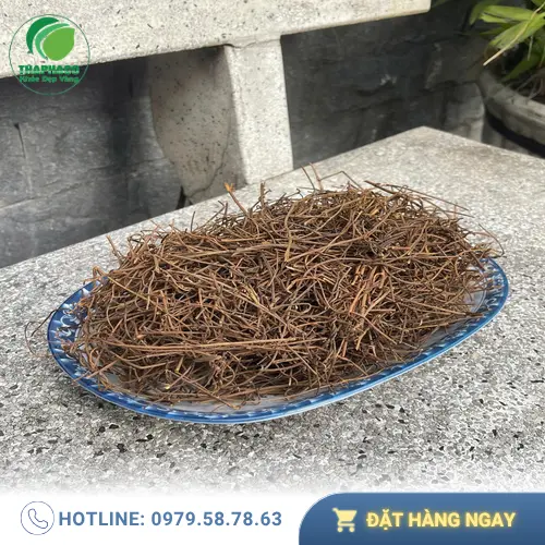 Dây tơ hồng khô chất lượng tại Noni Tấn Phát