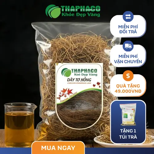 Dây tơ hồng khô nguyên chất Noni Tấn Phát