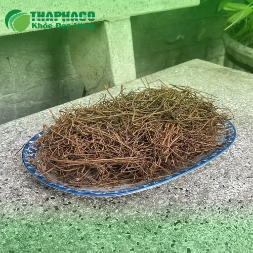 Dây tơ hồng Noni Tấn Phát với nhiều công dụng tốt cho sức khỏe