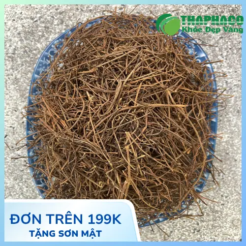 Chuyên gia Noni Tấn Phát tư vấn về dây tơ hồng