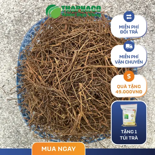 Dược sĩ tư vấn cách sử dụng dây tơ hồng hiệu quả