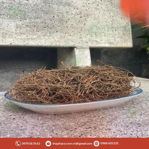 Dây tơ hồng Tấn Phát đóng gói cẩn thận