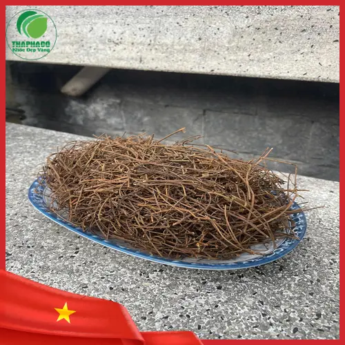 Dây tơ hồng đã qua chế biến sẵn sàng sử dụng