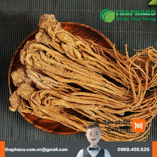 Hình ảnh củ Đương Quy khô tự nhiên, chất lượng