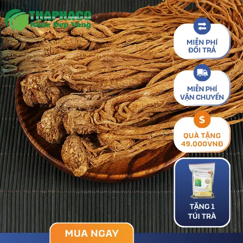 Hình ảnh Đương Quy đã thái lát sẵn, tiện lợi khi sử dụng
