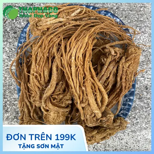 Đương quy thái lát sẵn tiện lợi, dễ sử dụng