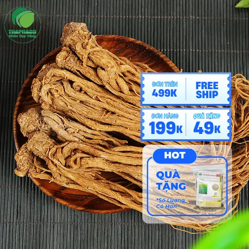 Các dạng đương quy khô khác nhau tại Noni Tấn Phát