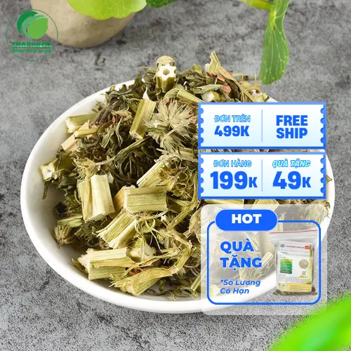 Chuyên gia kiểm định Noni Tấn Phát đánh giá chất lượng ích mẫu sấy khô