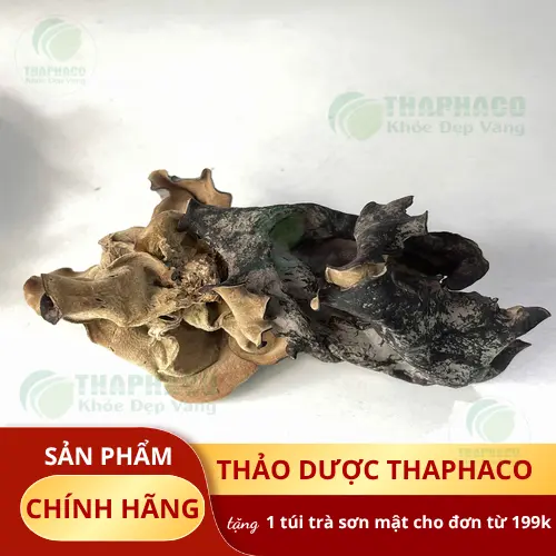 Mộc nhĩ có công dụng hỗ trợ sức khỏe