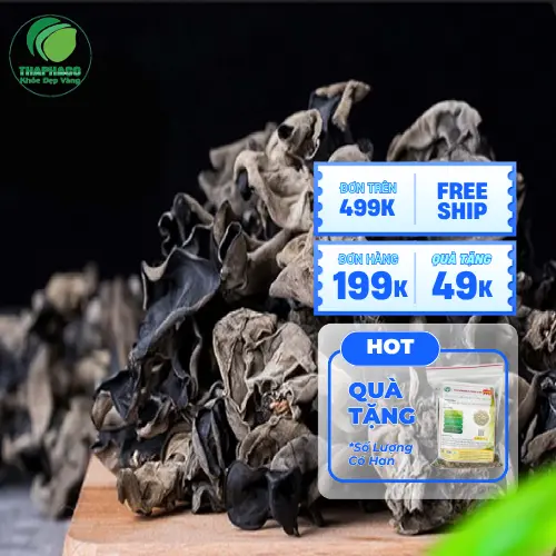 Mộc nhĩ tươi trên thân cây gỗ