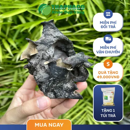 Mộc nhĩ khô được dùng trong nhiều món ăn