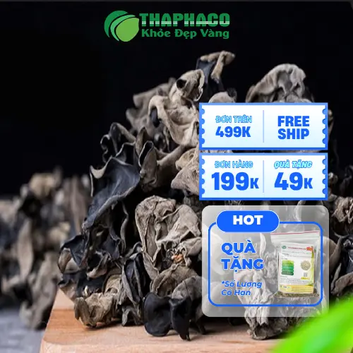 Mua mộc nhĩ khô THAPHACO tại địa chỉ uy tín