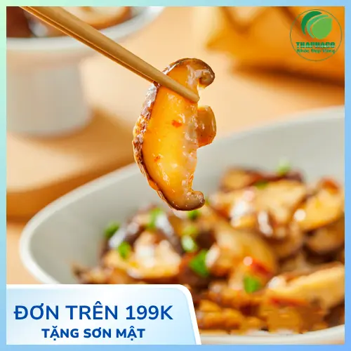 Các dạng nấm đông cô tươi và khô