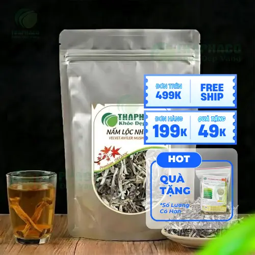 Hình ảnh nấm lộc nhung khô có hình dáng độc đáo như sừng hươu