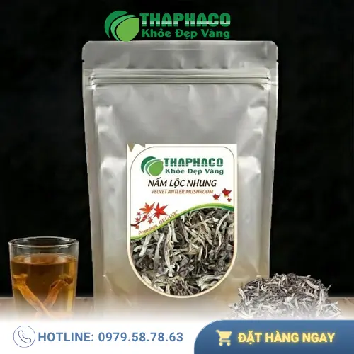 Nấm lộc nhung khô tại THAPHACO
