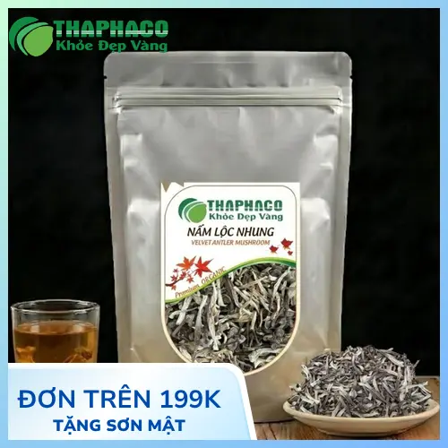 Nấm Lộc Nhung là gì?
