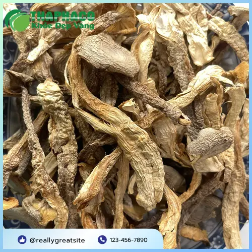 Công dụng hỗ trợ sức khỏe của Nấm Lộc Nhung