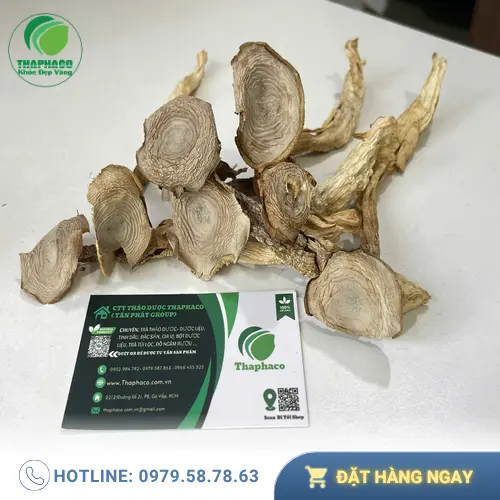 Công dụng hỗ trợ sức khỏe của Nấm Lộc Nhung
