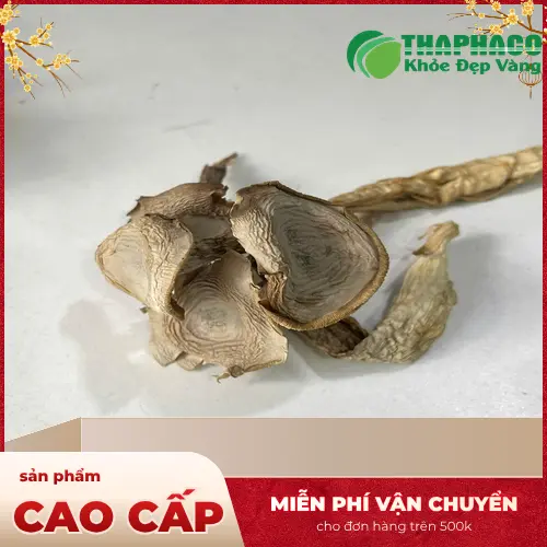 Nấm lộc nhung xào thịt bò thơm lừng