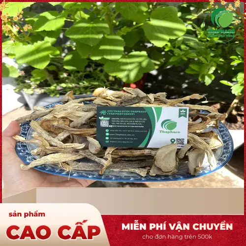 Quy trình sản xuất Nấm Lộc Nhung Khô THAPHACO