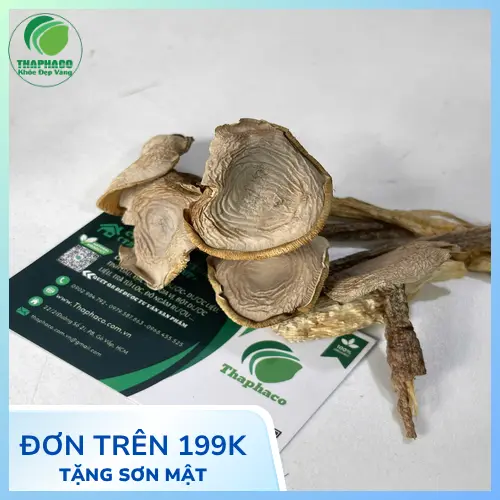 Cách dùng Nấm Lộc Nhung Sấy Khô an toàn