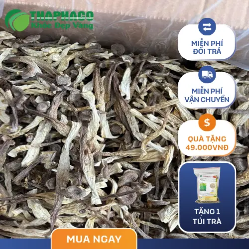 Các món ăn ngon từ nấm lộc nhung sấy khô