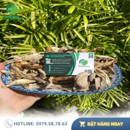 Các món chay ngon từ nấm lộc nhung