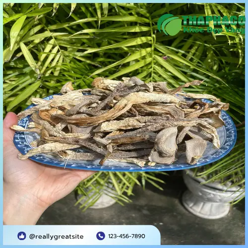Liên hệ THAPHACO để mua Nấm Lộc Nhung Khô