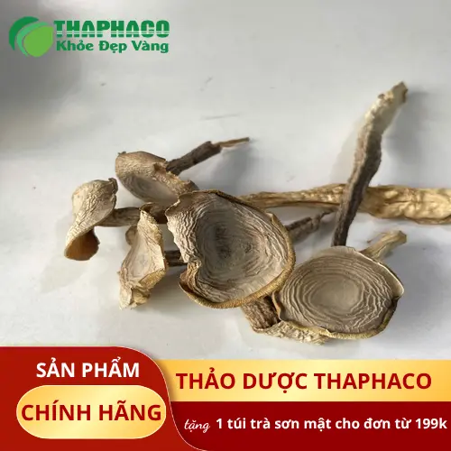 Cách bảo quản nấm lộc nhung khô đúng cách
