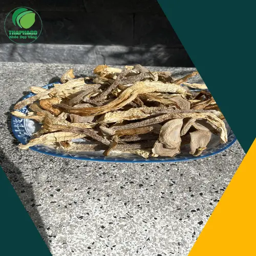 Nấm lộc nhung khô chất lượng tại THAPHACO