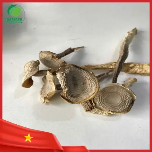 Cách bảo quản Nấm Lộc Nhung Khô hiệu quả