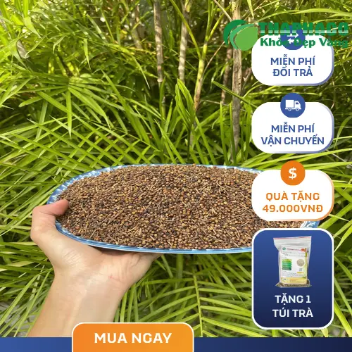 Nụ vối khô chất lượng từ Noni Tấn Phát
