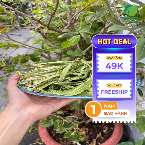 Gỏi rau tiến vua trộn tôm thịt