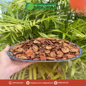 Địa chỉ bán táo mèo khô tại TP.HCM: Noni Tấn Phát