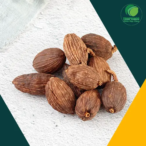 Hình ảnh thảo quả sấy khô chất lượng cao từ Noni Tấn Phát