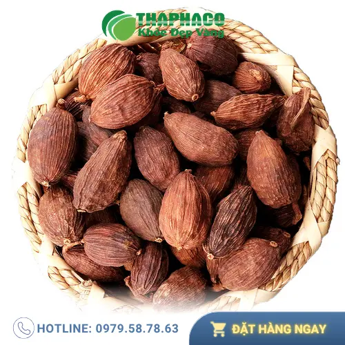 Thảo quả khô chất lượng cao Noni Tấn Phát