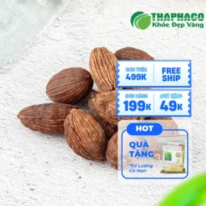 Chỗ Bán Thảo Quả Sấy Khô Chất Lượng Tại TP.HCM