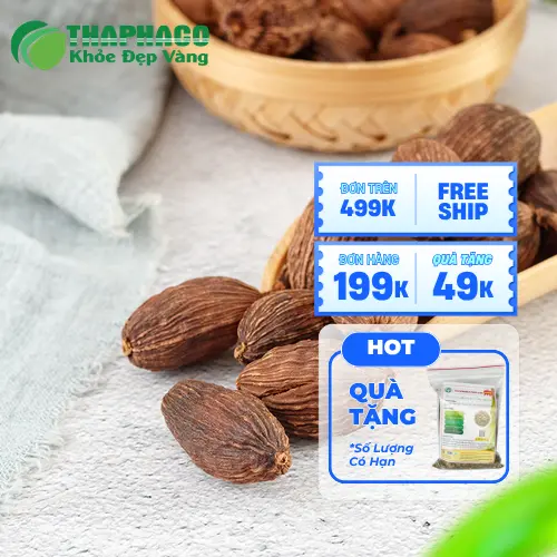 Quy trình đóng gói thảo quả Noni Tấn Phát đảm bảo chất lượng