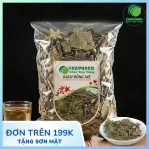 Địa Chỉ Mua Bán Bạch Đồng Nữ Khô Tại TP.HCM Chuẩn Chất Lượng