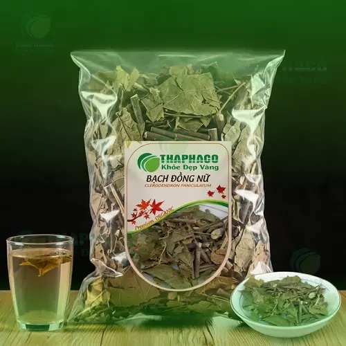 Hình ảnh cây Bạch Đồng Nữ tự nhiên
