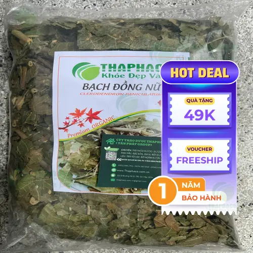 Bạch Đồng Nữ Khô THAPHACO sạch, không lẫn tạp chất