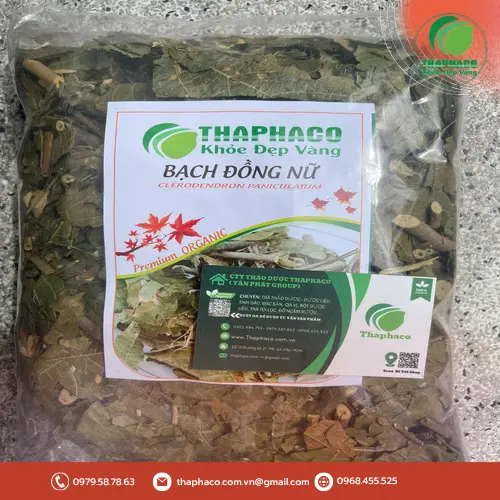 Bạch Đồng Nữ hỗ trợ sức khỏe phụ nữ