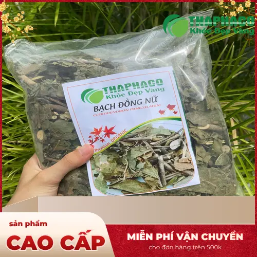 Cách dùng bạch đồng nữ khô an toàn