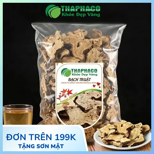 Hình ảnh tổng quan về dược liệu Bạch Truật