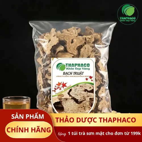 Bạch Truật khô - dược liệu quý trong y học cổ truyền
