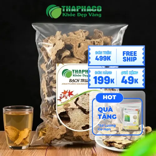 Hình ảnh củ Bạch Truật khô chất lượng cao