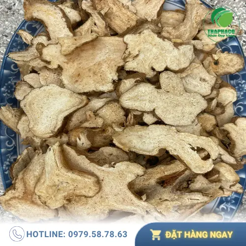 Bạch Truật hỗ trợ kiện tỳ và tiêu hóa hiệu quả