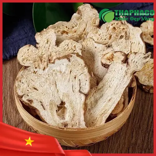Phụ nữ mang thai cần thận trọng khi sử dụng Bạch Truật