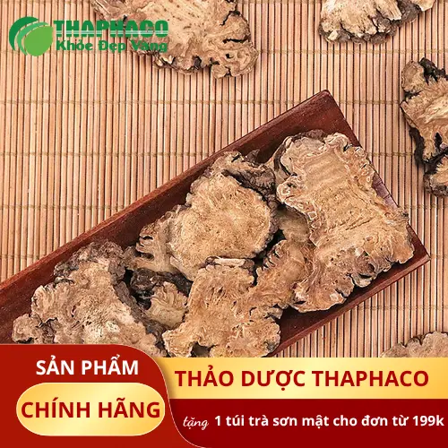 Đặc điểm nhận biết Bạch Truật khô chất lượng cao