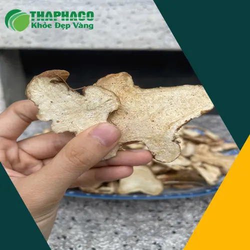 Sử dụng Bạch Truật an toàn và đúng cách